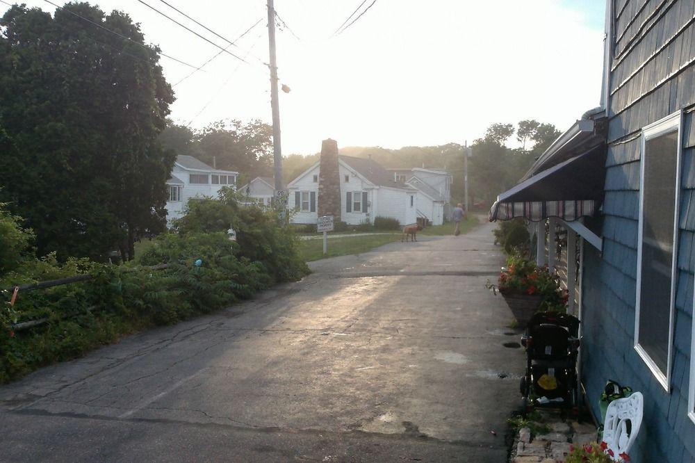 Sea Turn Motel ยอร์ก ภายนอก รูปภาพ